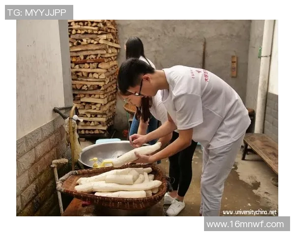 祝铭震：从学术先锋到社会实践者的多元人生探索与贡献