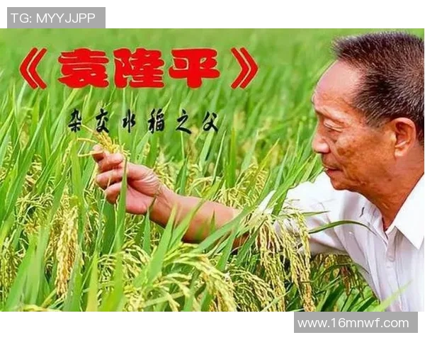 罗凯文的成长之路与未来展望：从平凡到卓越的奋斗历程