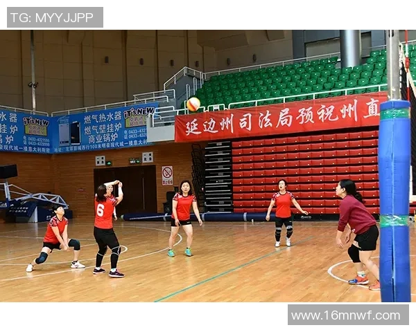 西安排球队的蜕变之旅：从传统到现代的排球纪实探索