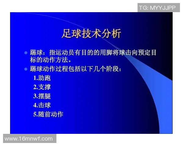 上海足球队的控制体系解析与战术创新探讨